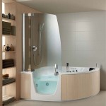 Bathtub Shower Combo Ideas