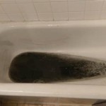 Black Stuff Coming Out Of Bathtub Drain