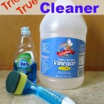 How To Clean Bathtub With Blue Dawn And Vinegar