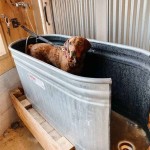 How To Wash Dog In Bathtub