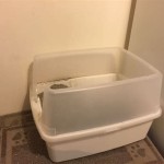 Litter Box In Bathtub