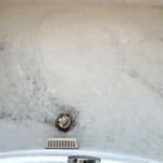 Poop Coming Out Of Bathtub Drain