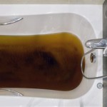 Why Is Water Coming Up Through My Bathtub Drain And Toilet